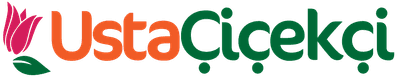 Usta Cicekci